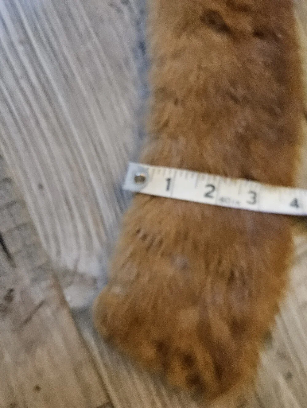 N/A vintage fox